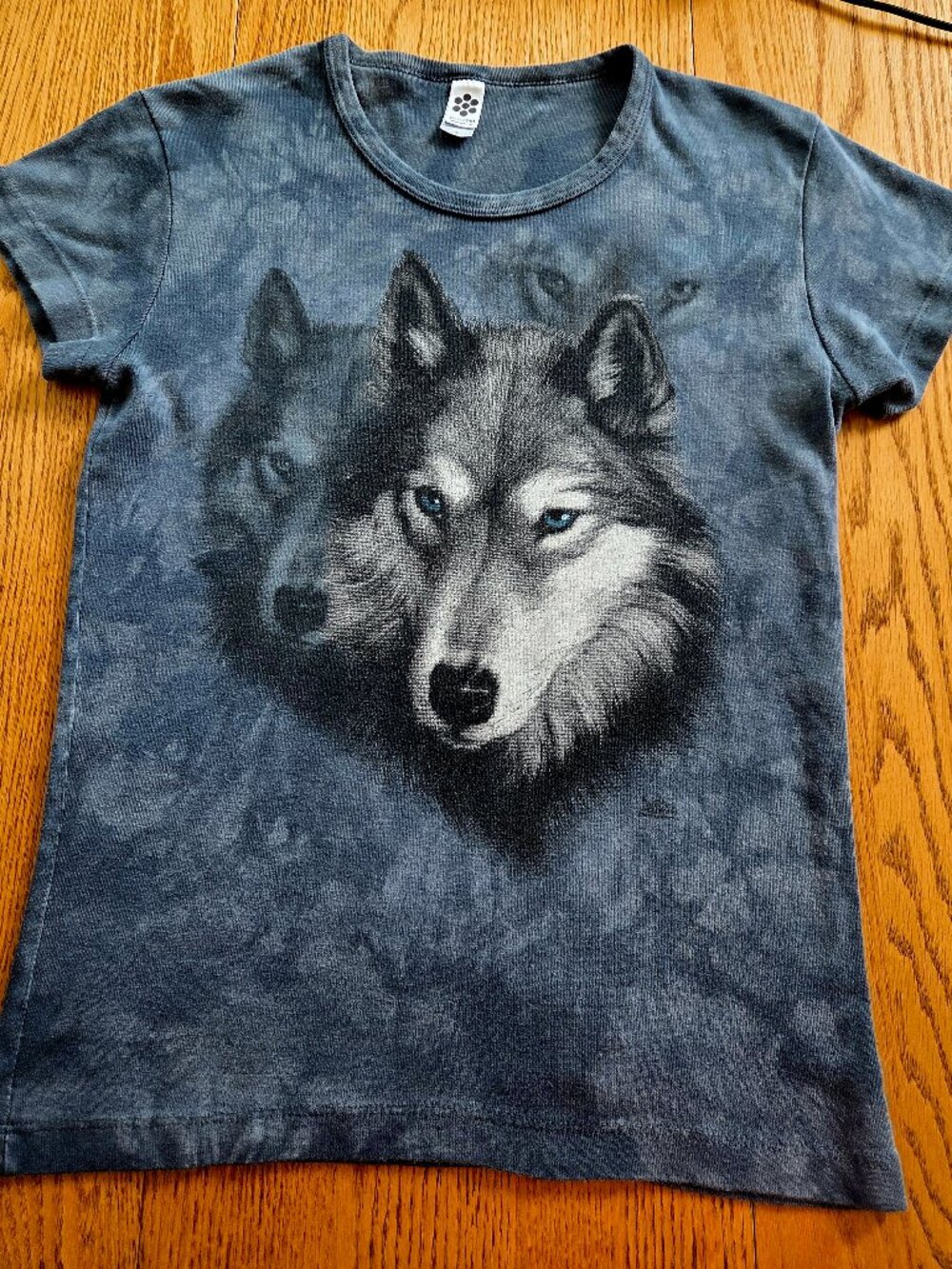 Vintage Y2K American Apparel Wolf Graphic Tee - Classic Girl Large